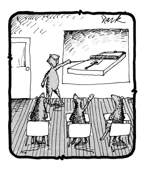 Mice being taught about mousetraps.