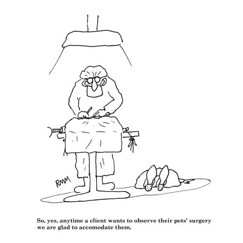 So, yes, anytime a client wants to observe their pets' surgery...