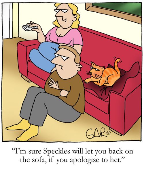 I'm sure Speckles will let you back on the sofa it you apologise to her