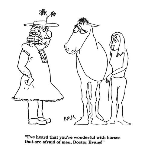 'I've heard that you're wonderful with horses that are afraid of men, Doctor Evans!'