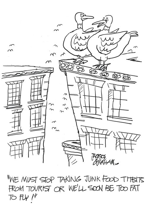 'We must stop taking junk food titbits from tourists or we'll soon be too fat to fly!.