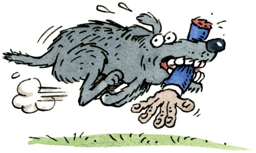 A dog running with a man's arm in its mouth.