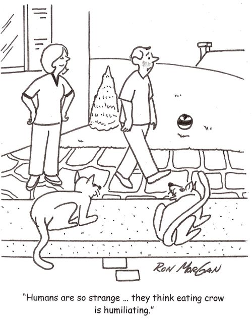 'Humans are so strange ... they think eating crow is humiliating.'
