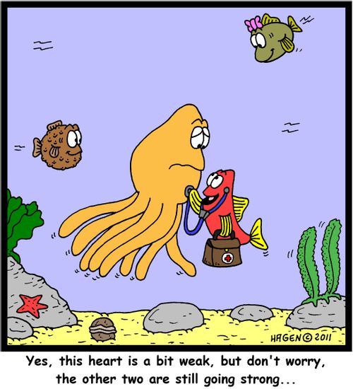 'Yes, this heart is a bit weak, but don't worry, the other two are still going strong...'