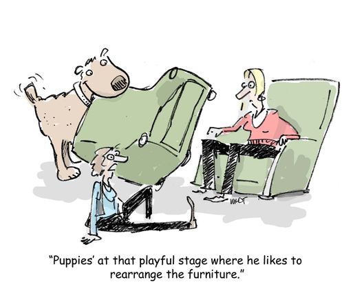 'Puppies' at that playful stage where he likes to rearrange the furniture.'