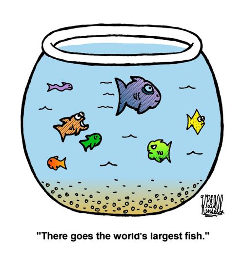 'There goes the world's largest fish.' 