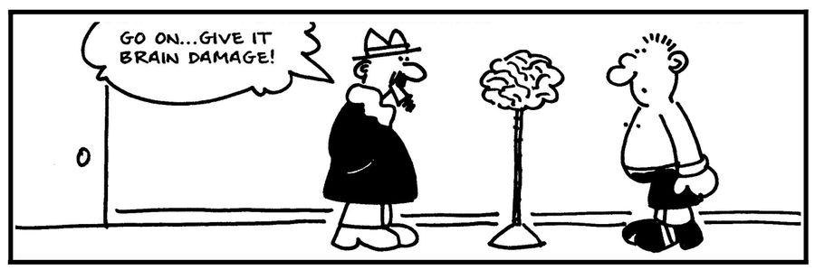 'Go on, give it brain damage.'
