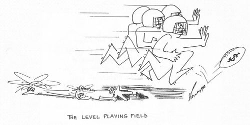 The Level Playing Field.