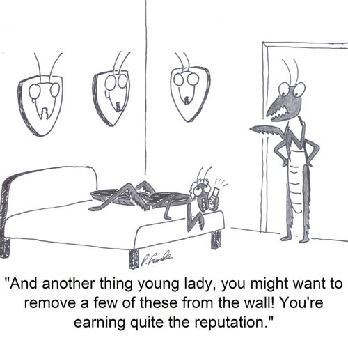 'And another thing young lady, you might want to remove a few of these from the wall! You're earning quite the reputation.'