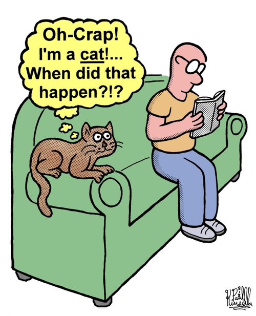 'Oh-Crap! I'm a cat!. . . When did that happen?!?'