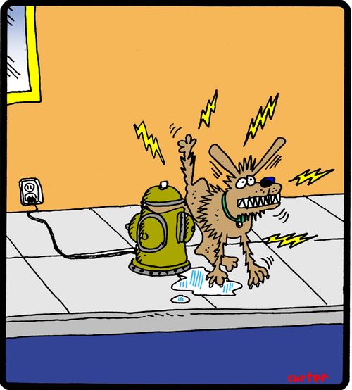 Dog receives an electric shock from an electrical fire hydrant.