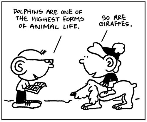 'Dolphins are one of the highest forms of life.'