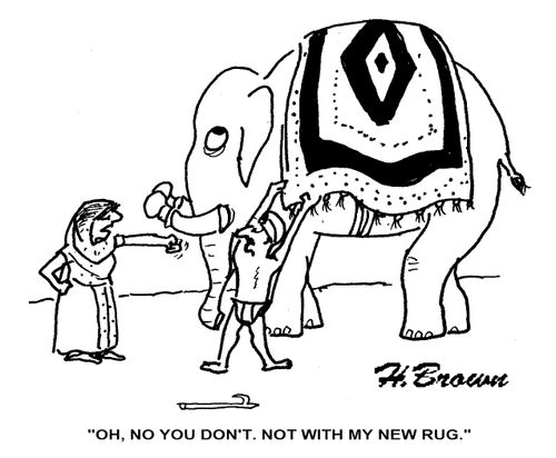 Not with my new rug!