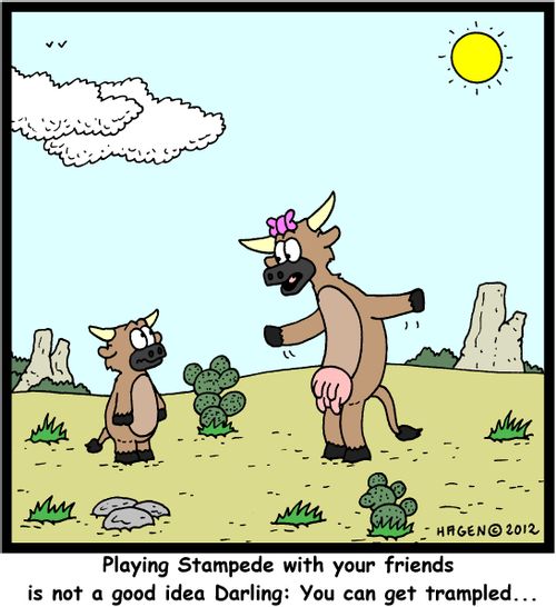 'Playing Stampede with your friends is not a good idea Darling: You can get trampled...'