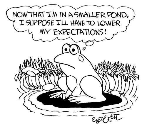 'Now that I'm in a smaller pond, I suppose I'll have to lower my expectations!'