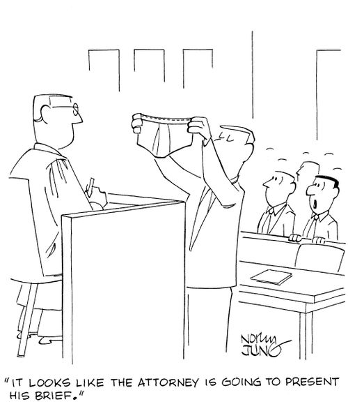 'It looks like the attorney is going to present his brief.'