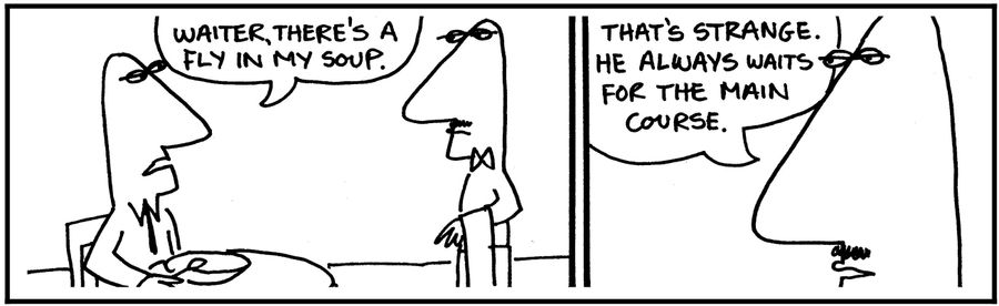 'Waiter, there's a fly in my soup.'