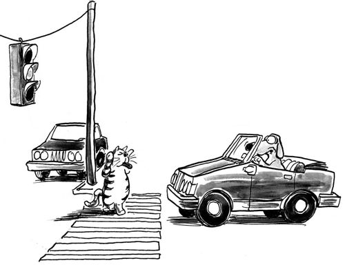 Cat taunts dog at intersection.