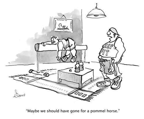 'Maybe we should have gone for a pommel horse.'