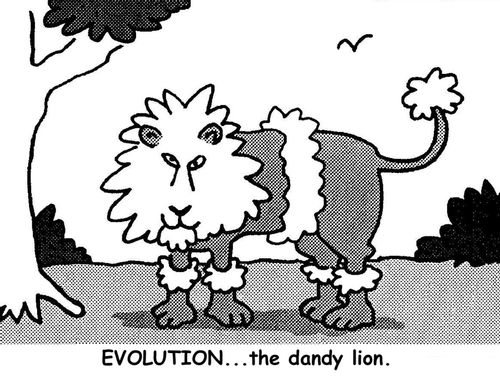 Evolution...the dandy lion.