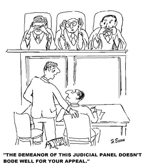 'The demeanor of this judicial panel doesn't bode well for your appeal.'