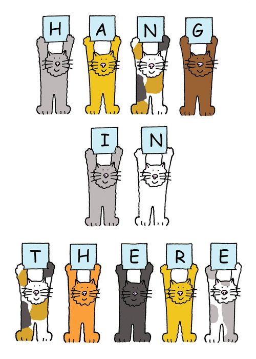 Cats holding letters up that spell out 'Hang in there'.