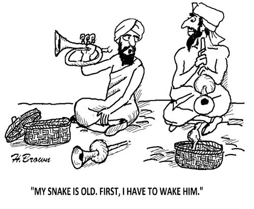 'My snake is old. First, I have to wake him.'