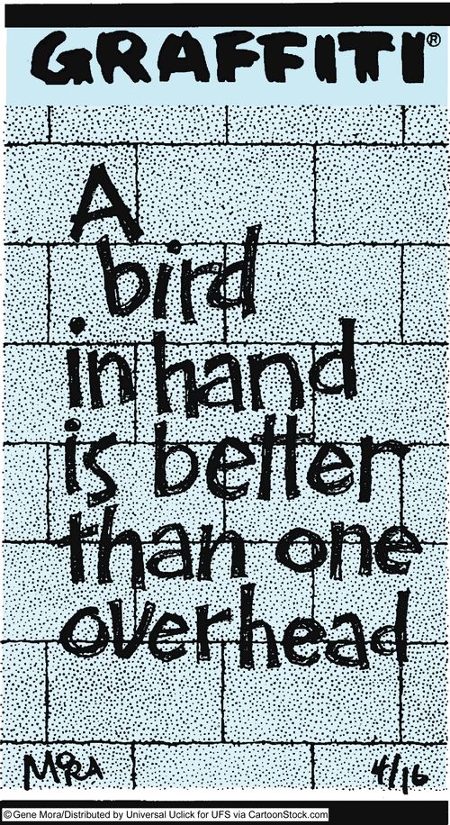 A bird in hand is better than one overhead.