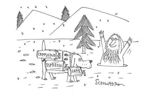 St Bernard with Cappucino, Espresso, and Latte.