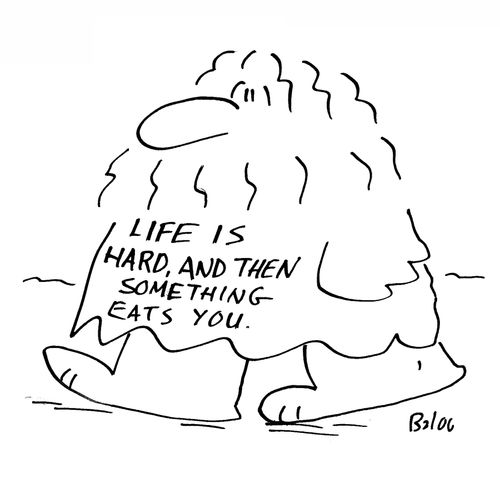 Life is hard, and then something eats you.