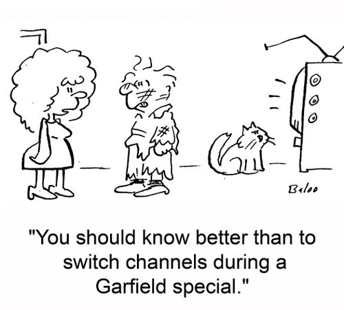 'You should know better than to switch channels during a Garfield special.'