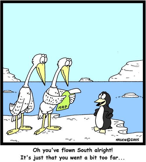 'Oh you've flown South alright! It's just that you went a bit too far...'