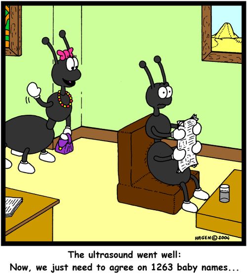 'The ultrasound went well: Now, we just need to agree on 1263 baby names...'