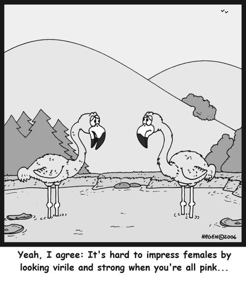 'Yeah, I agree: It's hard to impress females by looking virile and strong when you're all pink...'
