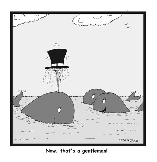 Gentleman whale.