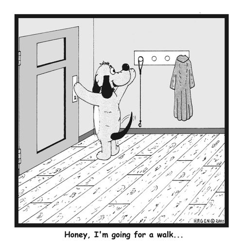 Honey, I'm going for a walk...