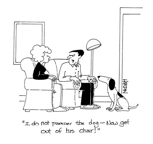 'I do not pamper the dog, now get out of his chair!'