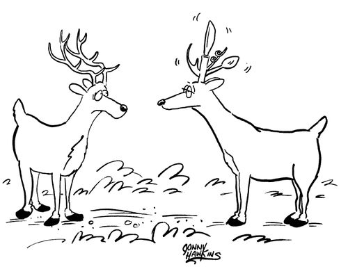 Reindeer with swiss army knife for antlers