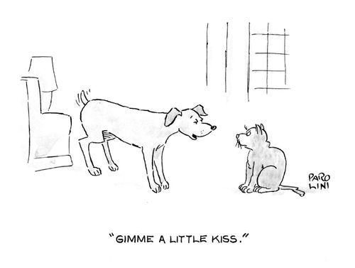 'Gimme a little kiss.'
