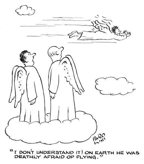 'I don't understand it! On earth he was deathly afraid of flying.'