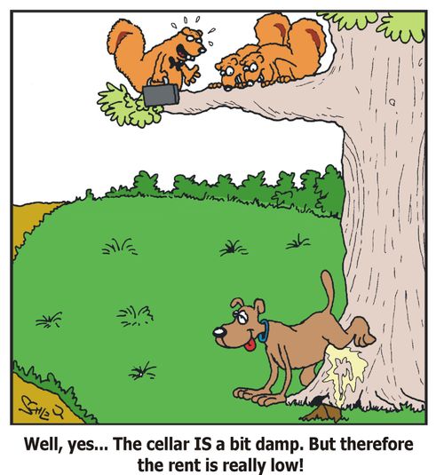 'Well, yes... The cellar IS a bit damp. But therefore the rent is really low!'