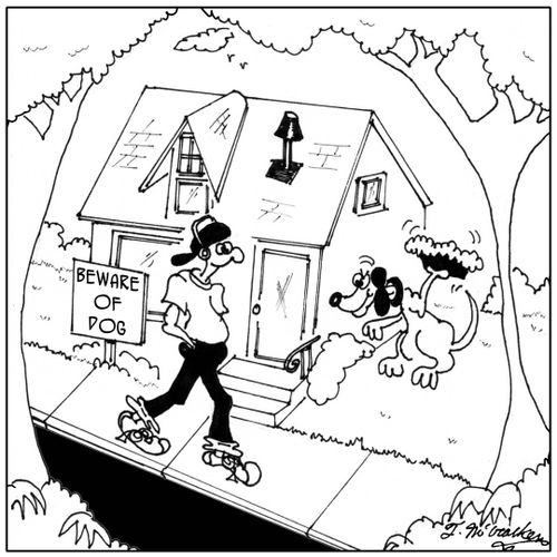 Beware of Dog