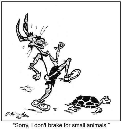 'Sorry, I don't brake for small animals.'