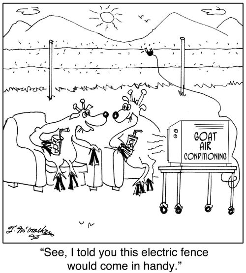 See, I told you this electric fence would come in handy.