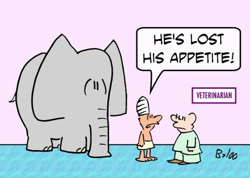 VETERINARIAN, 'He's lost his appetite.'