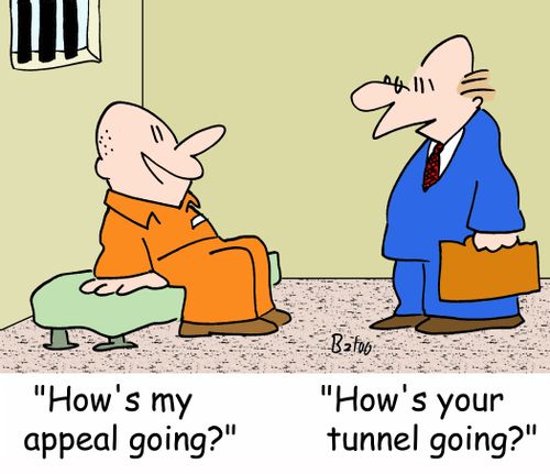 'How's my appeal going?', 'How's your tunnel going?'