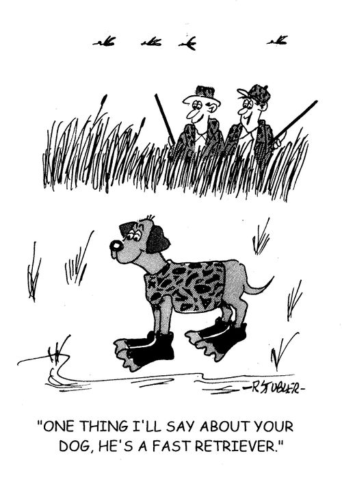 'One thing I'll say about your dog, he's fast retriever,'