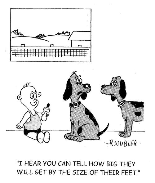 'I hear you can tell how big they will get by the size of their feet.'