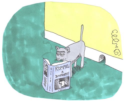 Cat reading Rommel biography.
