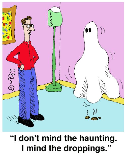 'I don't mind the haunting. I mind the droppings.'